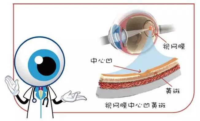 新型冠狀病毒能否通過結膜傳染